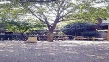 公園 杉並区立松庵東公園