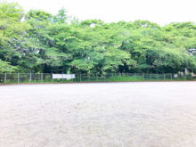 善福寺公園 子供スポーツ広場