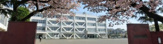 立川市立若葉台小学校