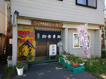 菜の花の画像1