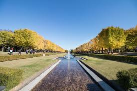 国営昭和記念公園の画像1