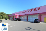 ディスカウントドラッグ コスモス 西岐波店