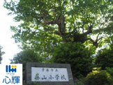 宇部市立藤山小学校