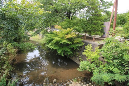 北山公園の画像1