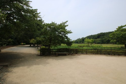 北山公園の画像2