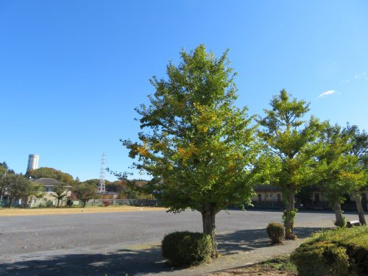上戸祭２号児童公園の画像2