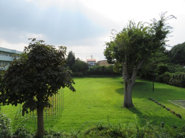 上戸祭1号 児童公園の画像4