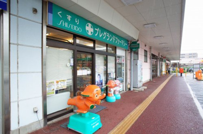 プレグランドファーマシーの画像1