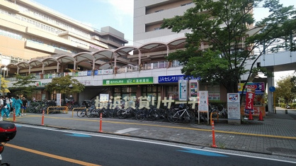 サウザンドモールの画像1