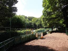 公園 本門寺公園 ドッグラン