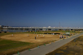 淀川河川公園木屋元地区野球場