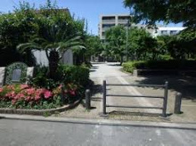 公園 徳持ポニー公園