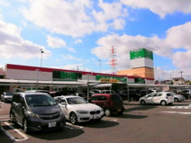 フードワン 綾瀬店