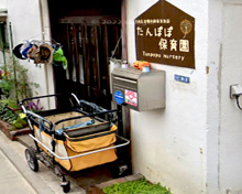 保育園 たんぽぽ保育園