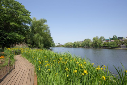 石神井公園の画像1