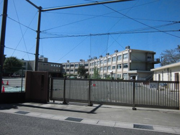 板橋区立若木小学校の画像1