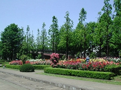 四季の香公園の画像1