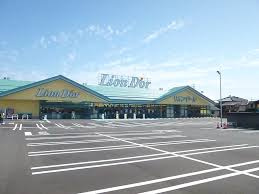 リオンドール　白根店の画像1