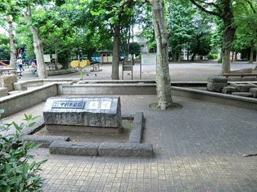 中新井公園の画像1