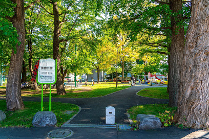 桑園公園の画像1