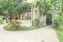 cafe TOITOITOI