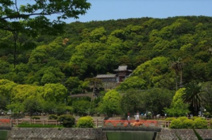 御手洗池公園