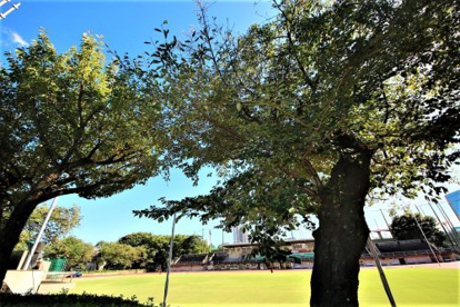 府中中央公園の画像1