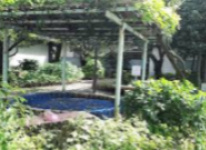 梅の花児童公園