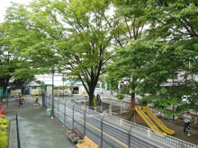 公園 入新井西公園