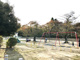 岩ヶ平公園の画像