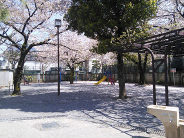 沢田東児童公園の画像1