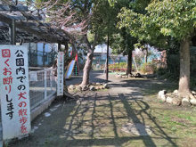 公園 せみやま児童公園