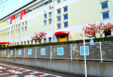 池上みどり幼稚園
