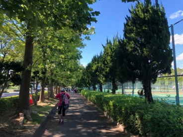 さいたま市役所 与野中央公園の画像1