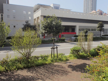 福岡市立姪浜中学校情報ページ 東京都を中心とした全国各地の不動産なら何でもお任せください