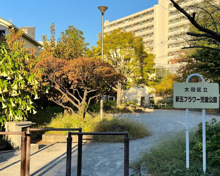 公園 新五フラワー児童公園