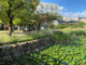 宝島池公園の画像
