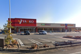YAOKO(ヤオコー) 市川中国分店