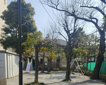 中央八丁目児童公園の画像1