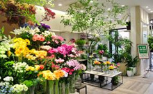 第一園芸 田園調布店