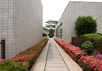 田園調布雙葉学園 記念講堂の画像1