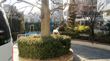 ふうの木児童公園の画像1