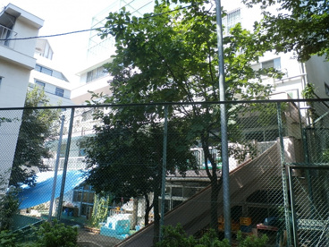 東五反田保育園の画像1