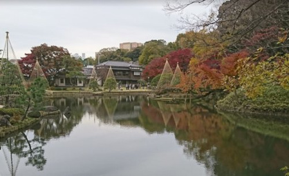 新江戸川公園の画像1