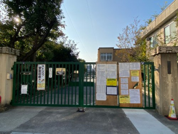 七条小学校の画像1