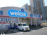 ウエルシア守谷ひがし野店