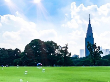 代々木公園の画像2