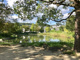 樋之池公園の画像