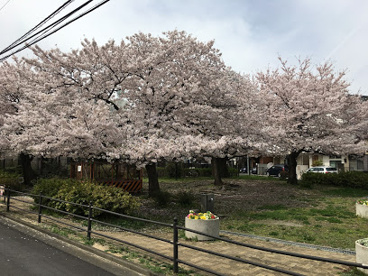 西蒲田一丁目さくら児童公園の画像1