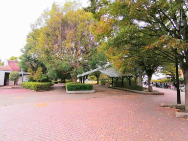 一之宮公園の画像1